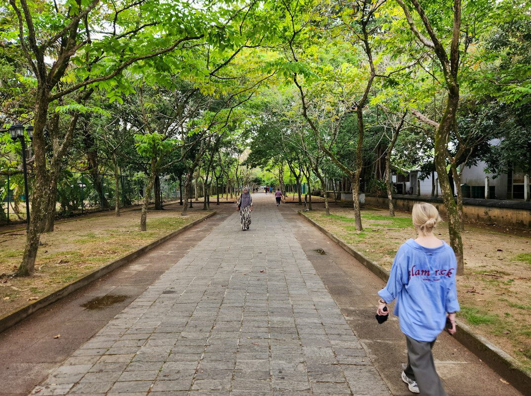 city park people walking